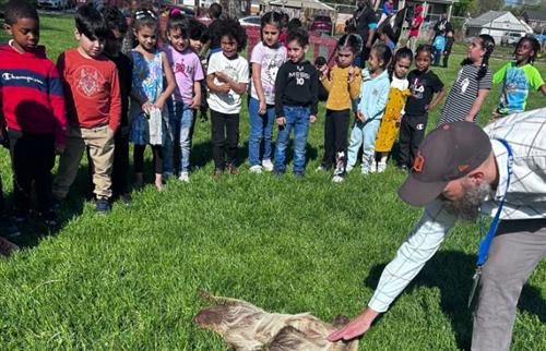  group of students looking at a sloth